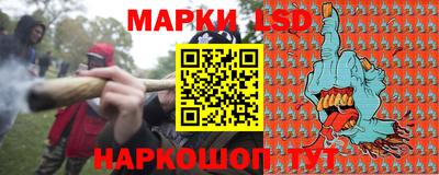 гидропоника Можга