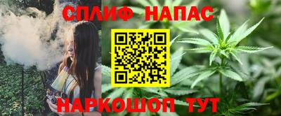 гидропоника Можга