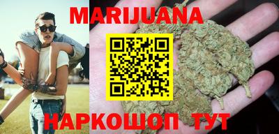 гидропоника Можга