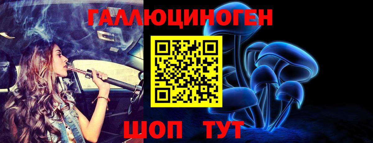 Псилоцибиновые грибы Cubensis Тайшет
